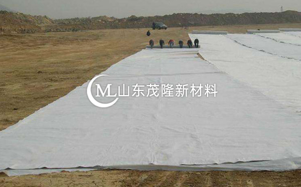 《天府機場TJ6標》土工格柵、土工布、排水板施工