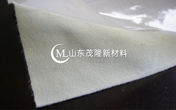 復(fù)合土工膜產(chǎn)品演示圖1