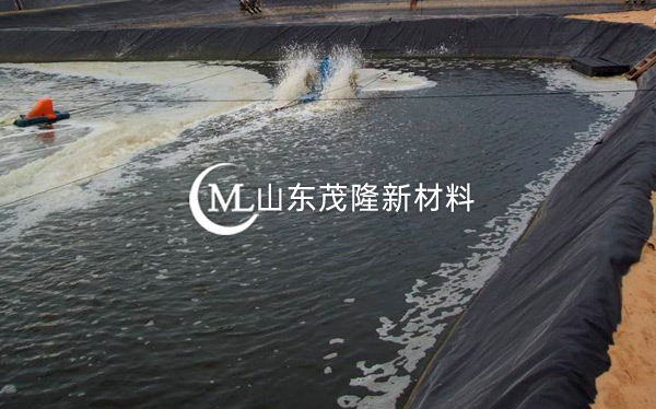 人工湖土工膜產品演示圖1