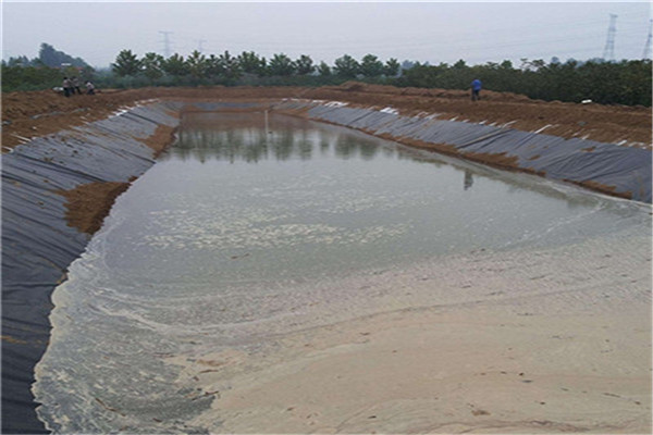 魚塘防滲膜在養(yǎng)殖領域中的優(yōu)勢