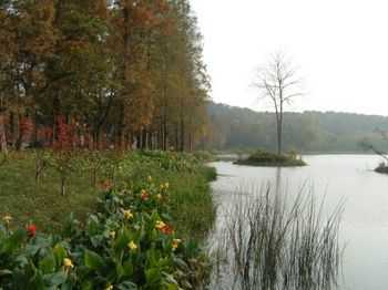 護岸工程施工方案、圖紙歸納匯總