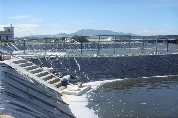 防滲土工膜為什么用在污水池中