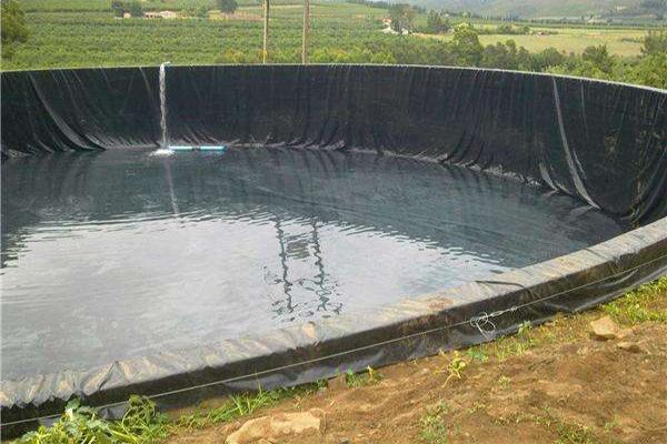 建造藕池時應(yīng)該怎么選擇土工膜呢？
