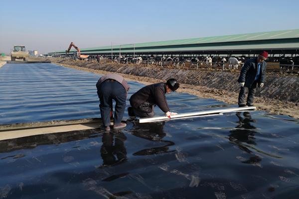 土工膜一平方有多重 第3張