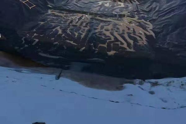 土工膜蠕變原理揭秘:了解這一奇特現象! 第2張