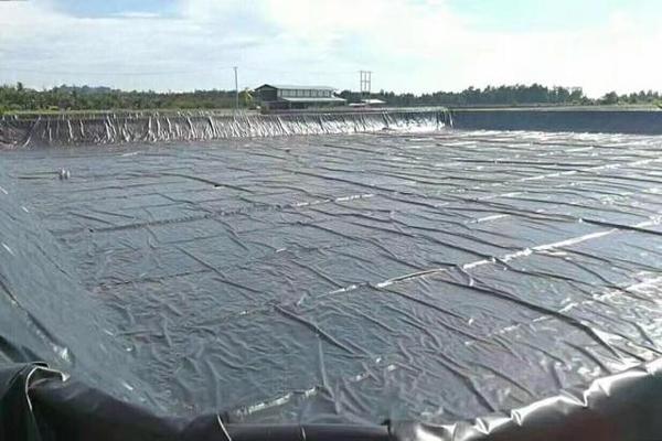 土工膜在種植屋面的施工方法解析  第10張