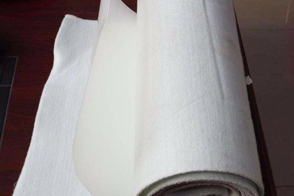 復(fù)合土工膜在防汛工程中的作用及影響因素分析 第3張