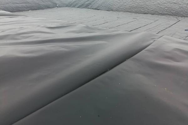 土工膜在種植中的應用價值：防滲土工膜能否用于種植？