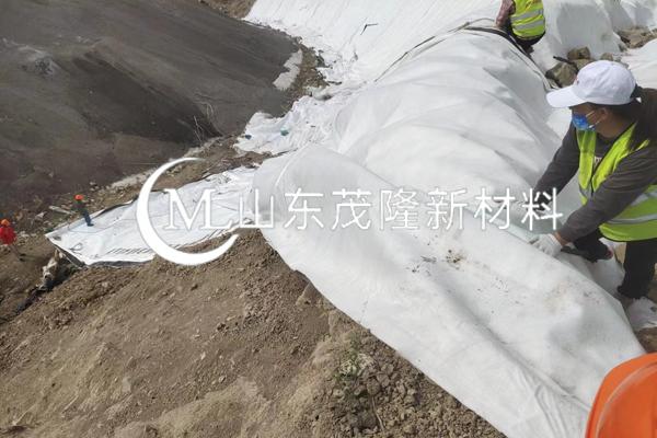 《順北油氣田一區(qū)奧陶系油氣藏產能建設項目-五號聯(lián)合站建設工程項目》土工布施工