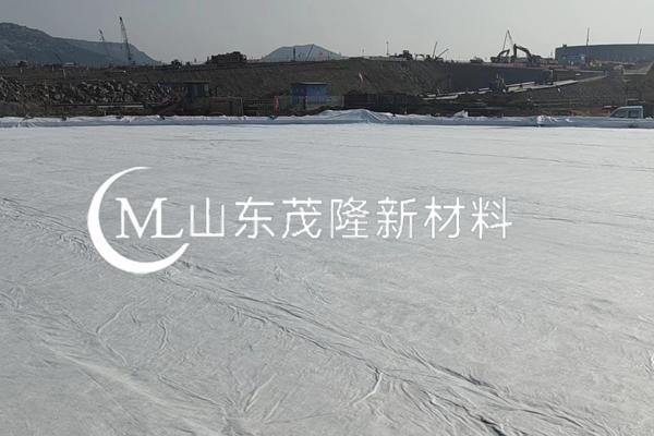 《小羊邑場項目》土工布施工