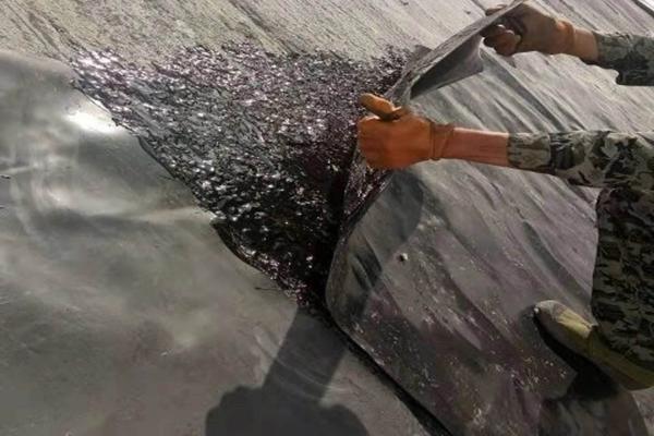 揭秘土工膠如何實現土工膜粘接的奧秘  第2張