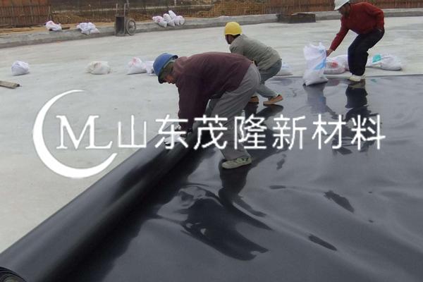 HDPE土工膜  第8張