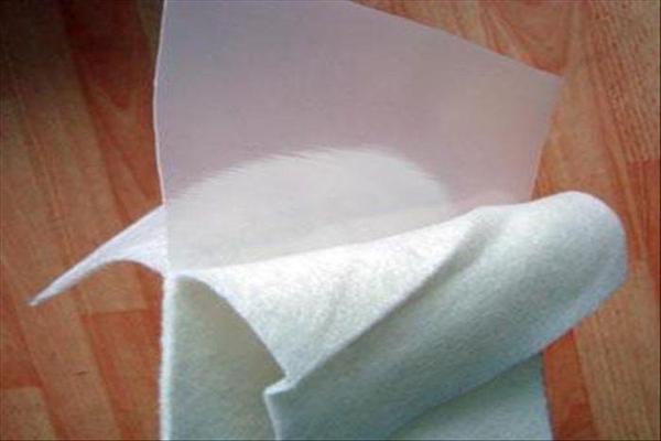 復合土工膜在渠道防滲、堤壩加固及水庫除險工程中的實際應用