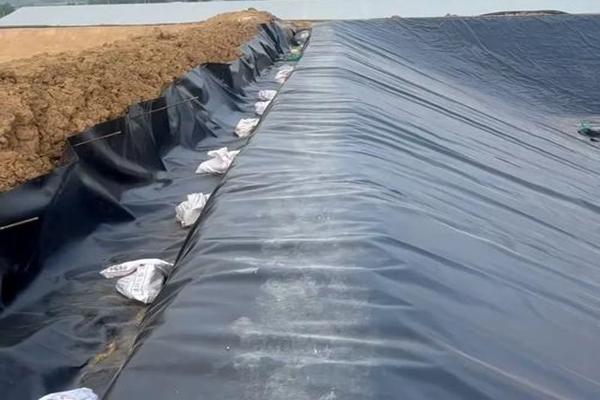 土工膜可以做衛生間防水嗎? 第2張