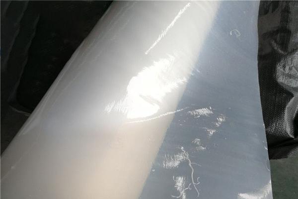 白色土工膜主要用在哪些工程中